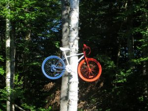 Work of Art: Painted bike suspended in a tree