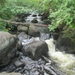 River in Vermont's Northeast Kingdom