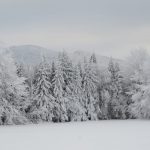 Winter in Westmore, Vermont